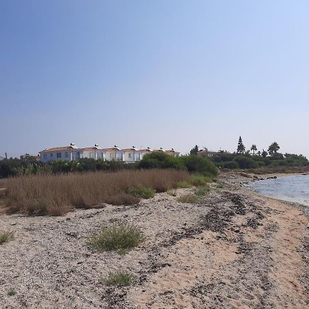 Villa Anastassia Ayia Napa Exteriér fotografie
